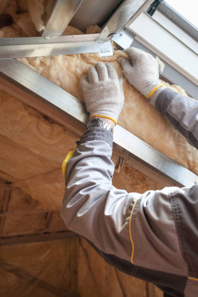 Best Insulation for Specific Applications in Governors Village, NC